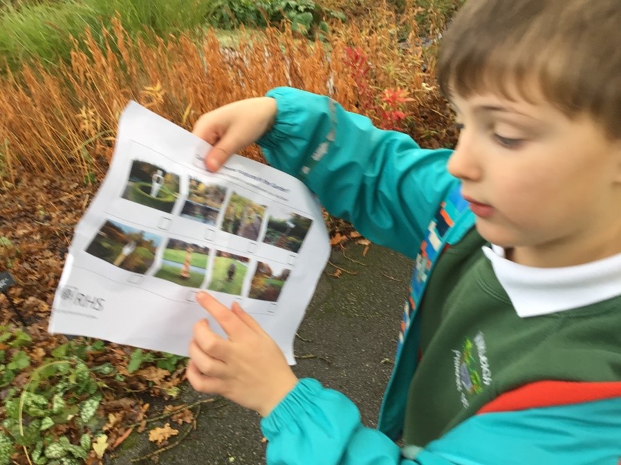 Child points to leaf identification chart