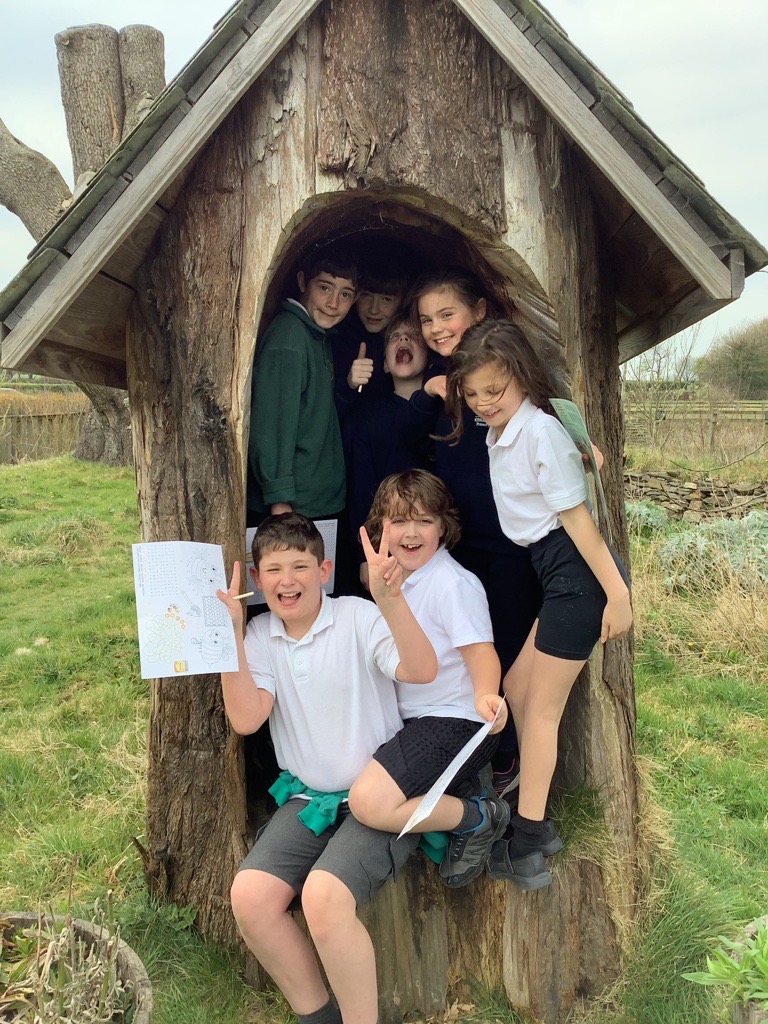 Surf lessons with OA Surf in Widemouth Bay A row of children sat on surf boards on a beach